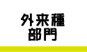 O핔