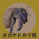 IJhJ