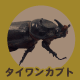 ^CJug