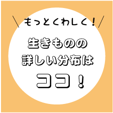 Ƃ킵
