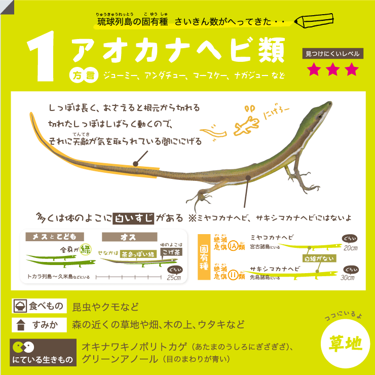 AIJiwr