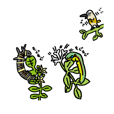 eyeCatch