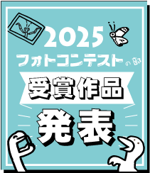 �t�H�g�R����܍�i