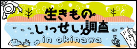 沖縄生き物いっせい調査