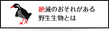 絶滅のおそれがある野生生物とは