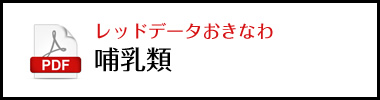 レッドデータおきなわ哺乳類