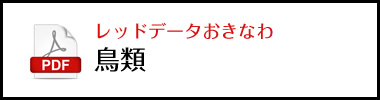 レッドデータおきなわ鳥類