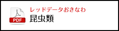 レッドデータおきなわ昆虫類