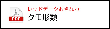 レッドデータおきなわクモ形類