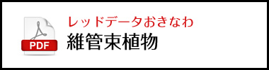 レッドデータおきなわ維管束植物