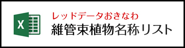 レッドデータおきなわ維管束植物名称リスト